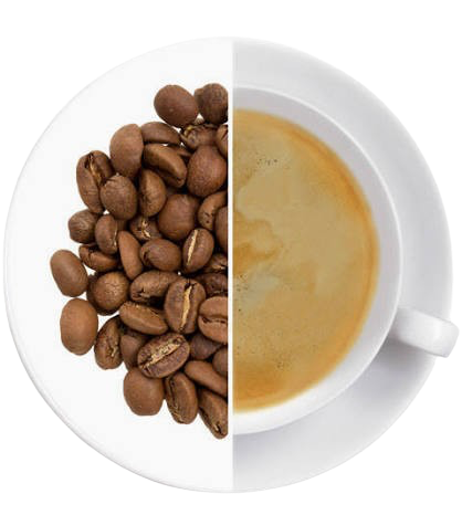 Káva