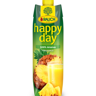 RAUCH happy day Ananas 100 % 1 l