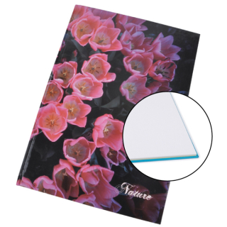 Záznamní kniha, A4, čistá